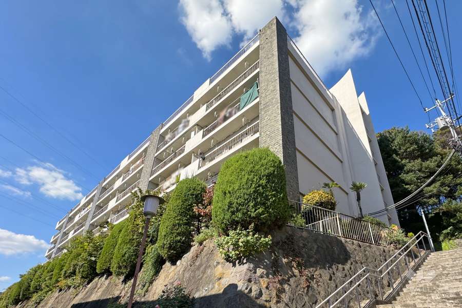 敷地の南側前面道路（南東側から）