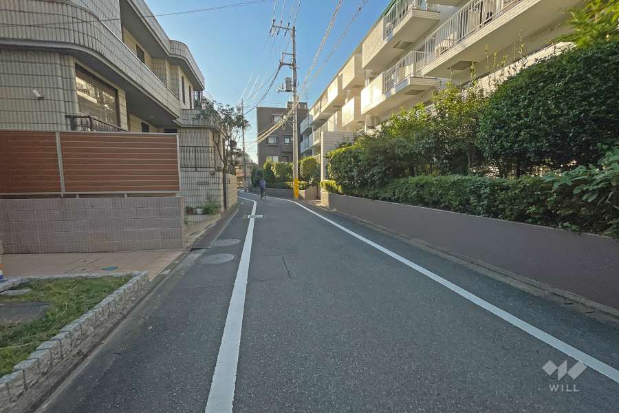 敷地南側の前面道路（西側から）