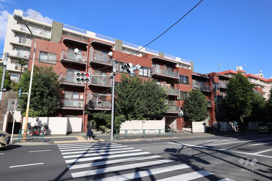 成城学園サマリヤマンション（南西側から）