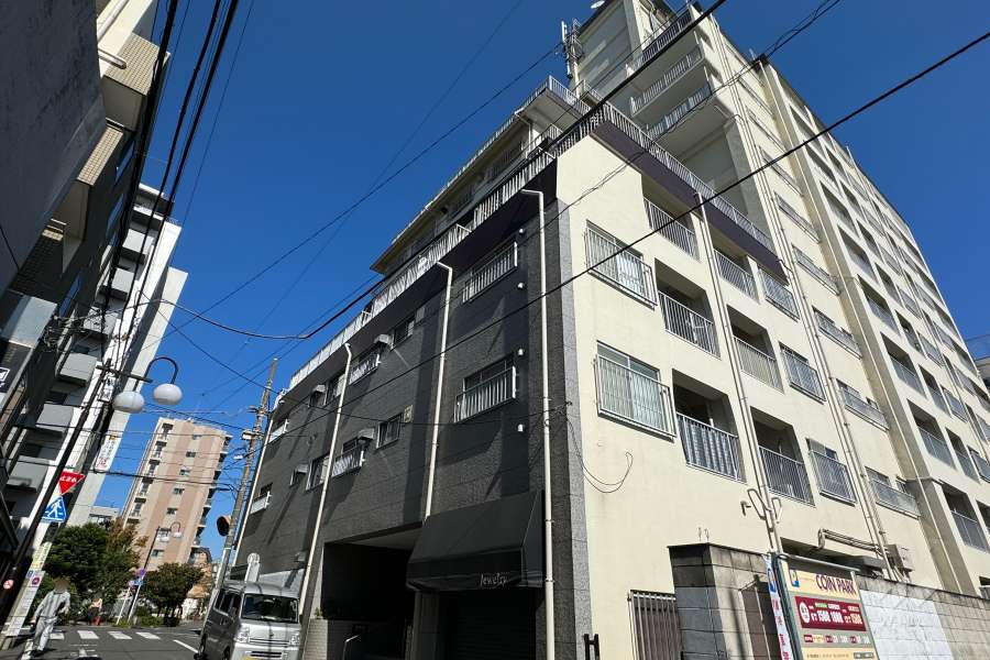 成城エコーハイツの外観（南西側から）