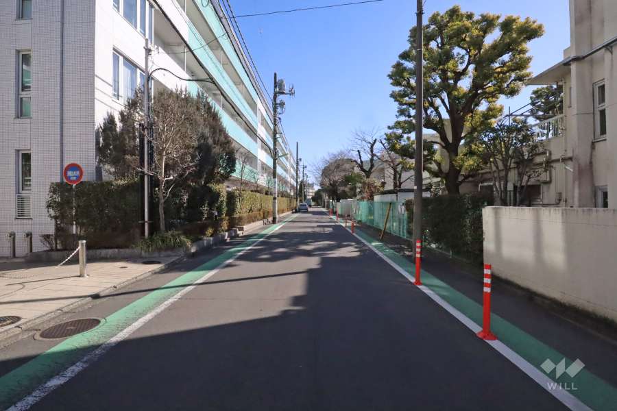 敷地南西側の前面道路（北西側から）
