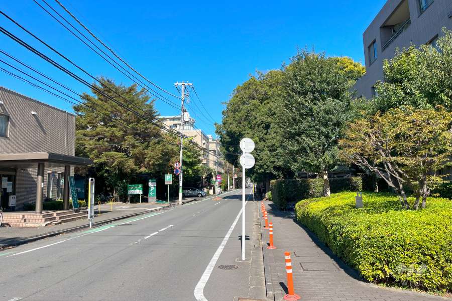 敷地西側の前面道路　