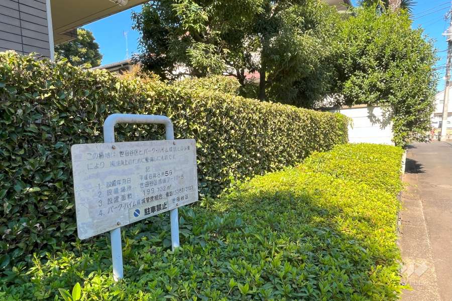 敷地内の各所に植栽スペースが設けられています。