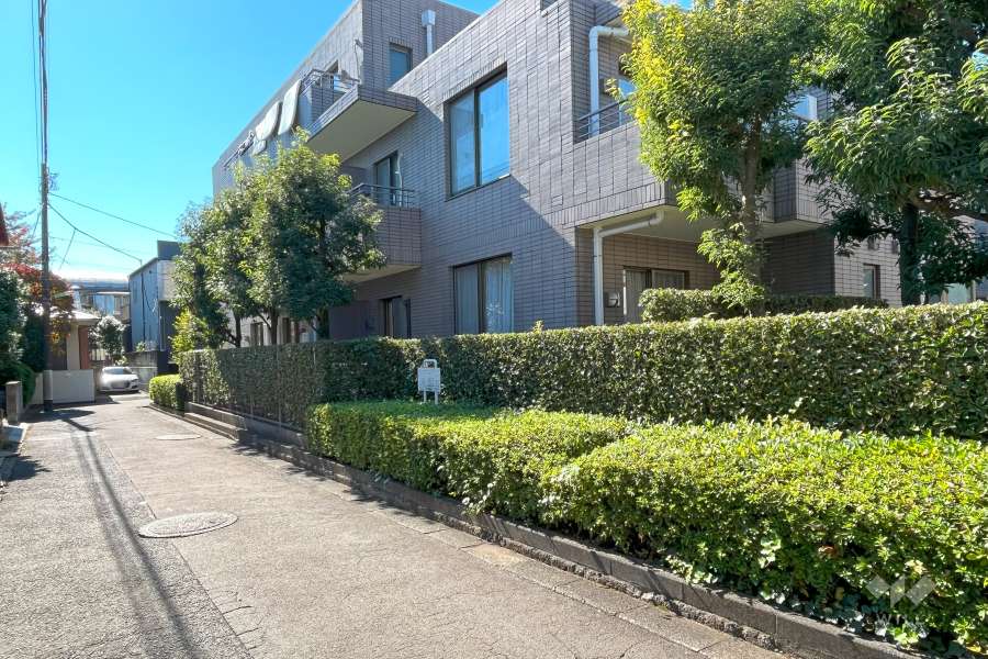 敷地東側の前面道路　