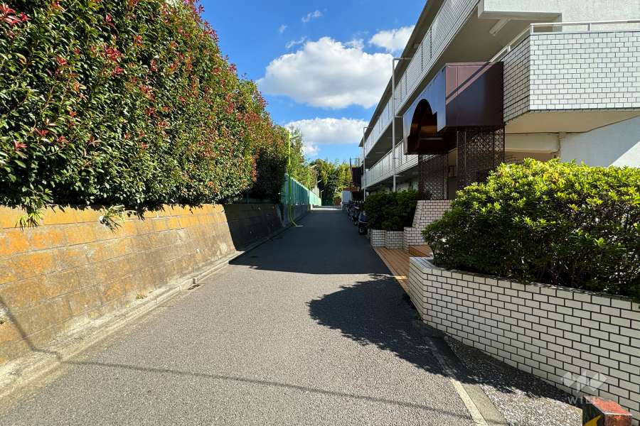 敷地の北側前面道路（西側から）