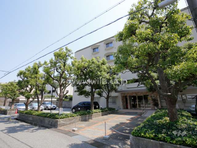 敷地北側、道路に面した場所には植栽スペースが設けられています。