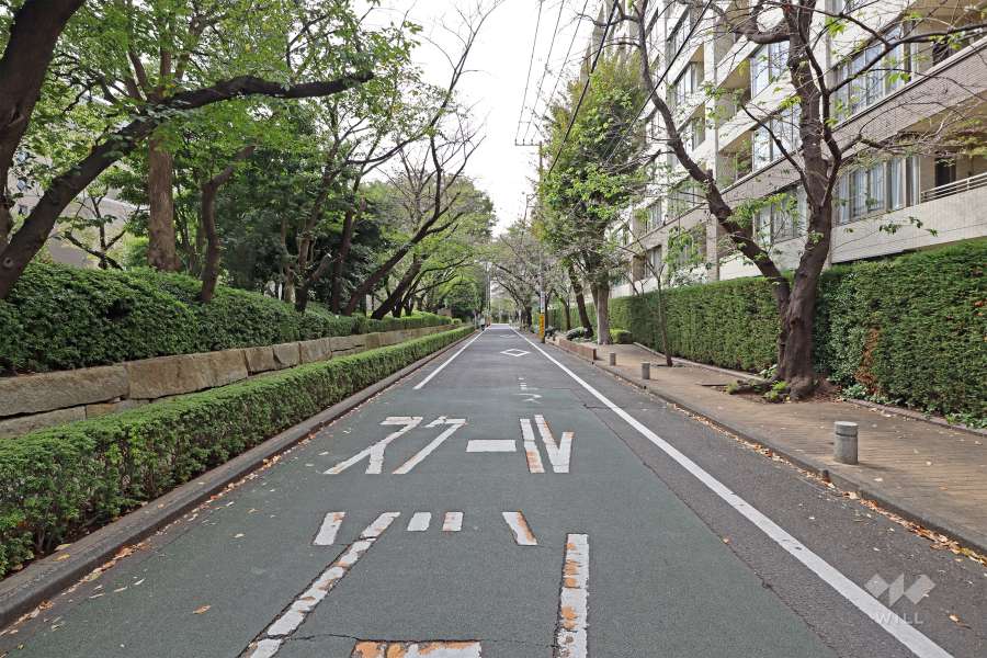 敷地南側の前面道路