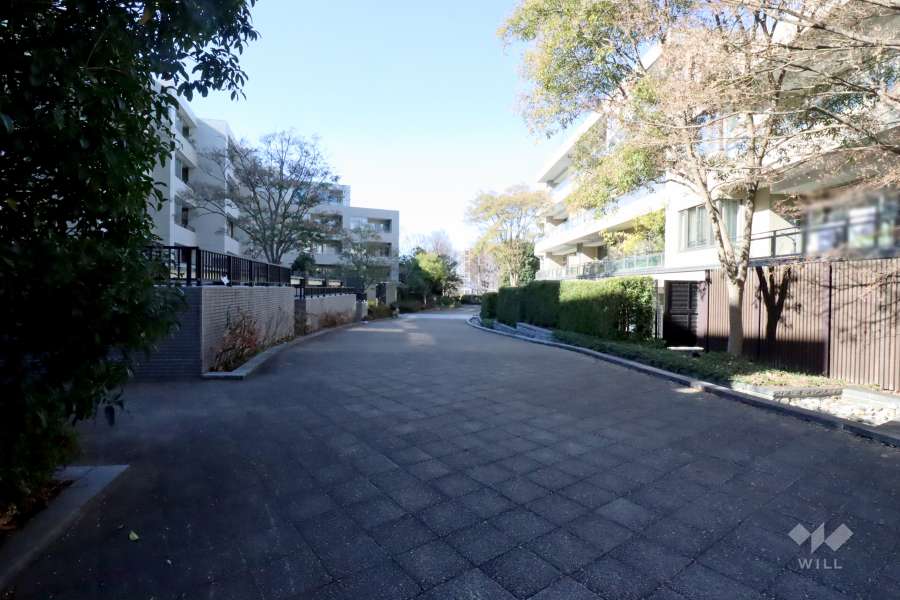 敷地内の通路(FHコート間)