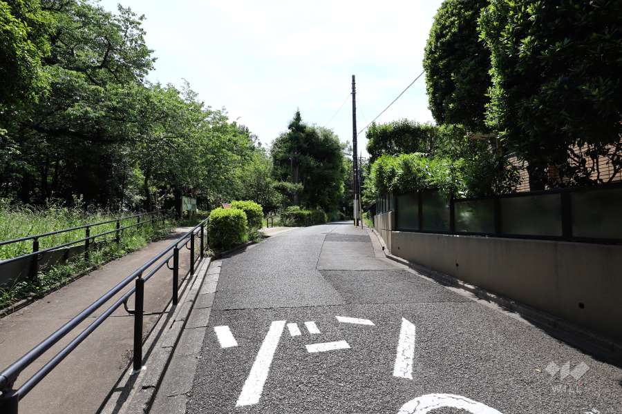 敷地南側の前面道路（東側から）