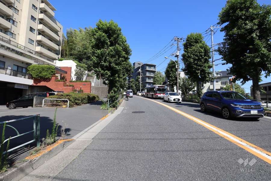 敷地南側の前面道路（西側から）