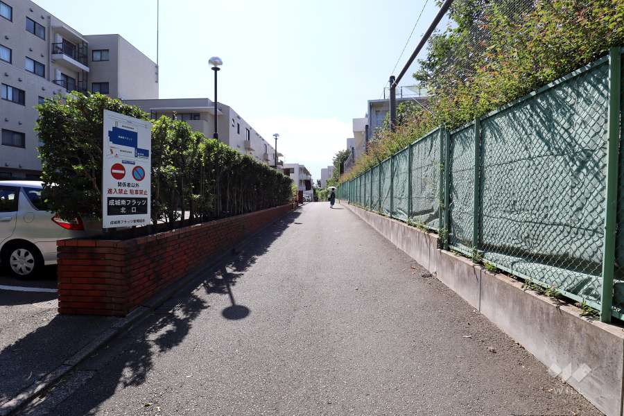 敷地北側の前面道路（東側から）