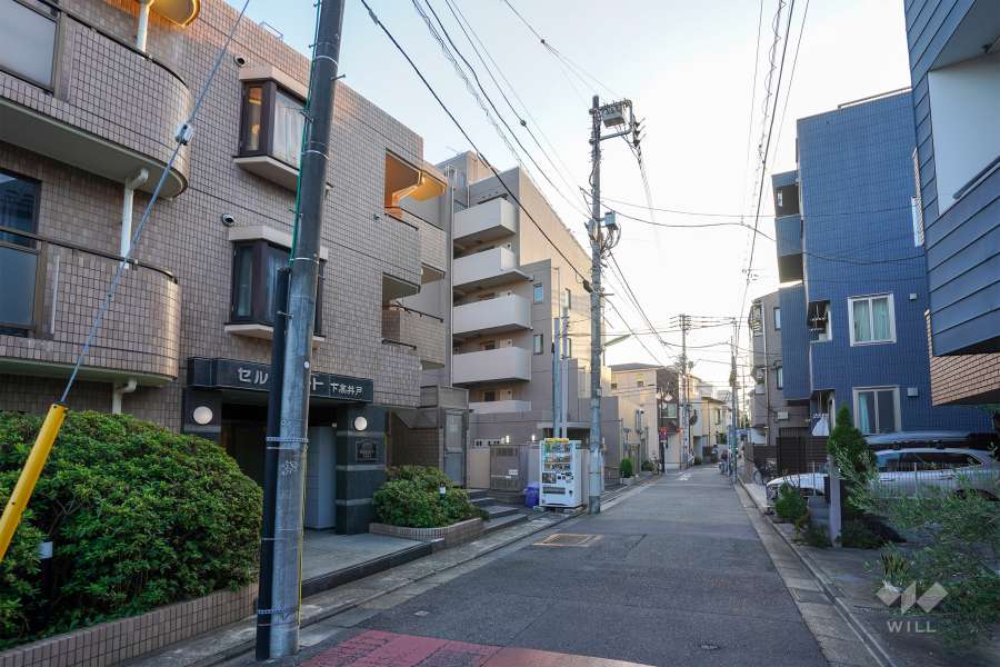 敷地北側の前面道路（東側から）