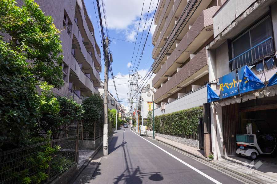 敷地東側の前面道路（南側から）