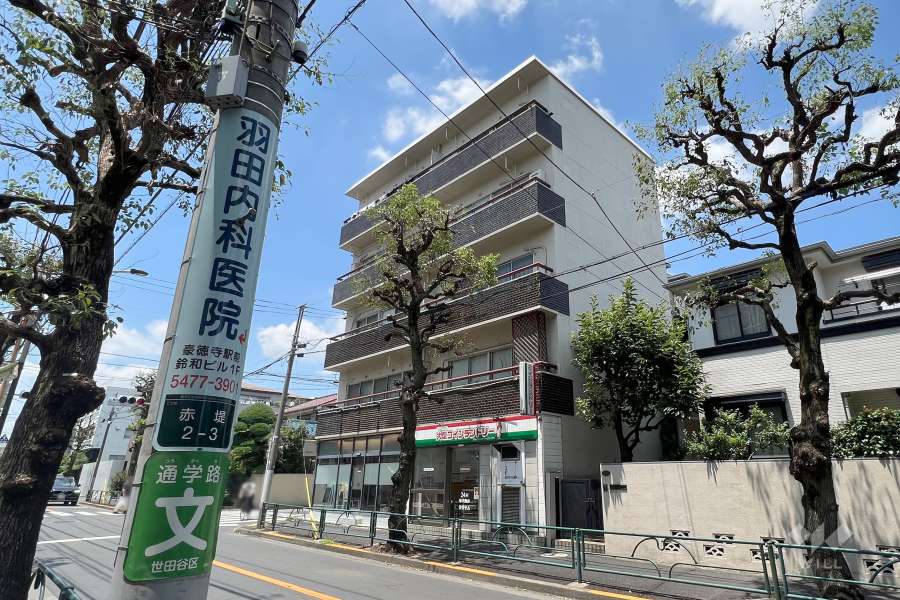 赤堤ハイム（赤堤2丁目）の外観(南東側から)