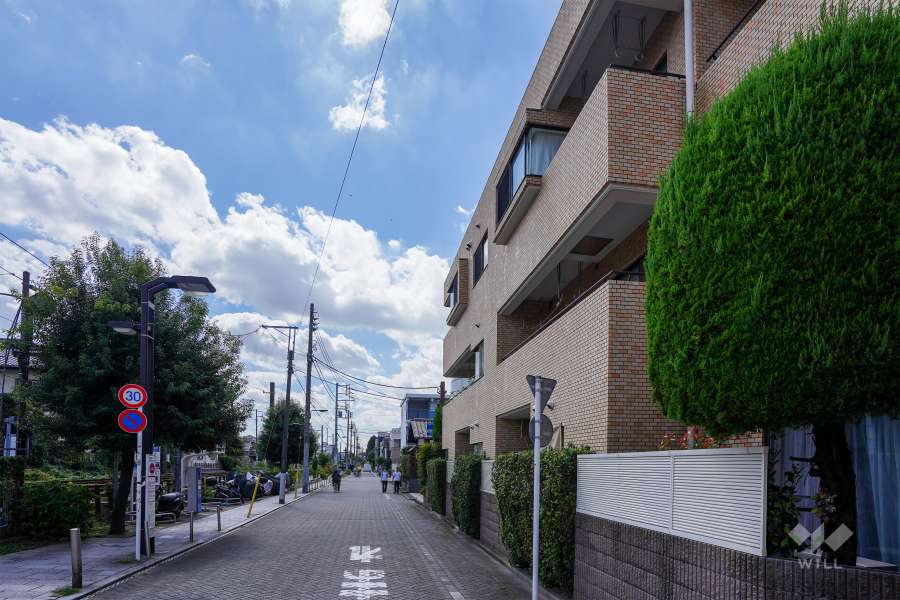 敷地東側の前面道路（北側から）