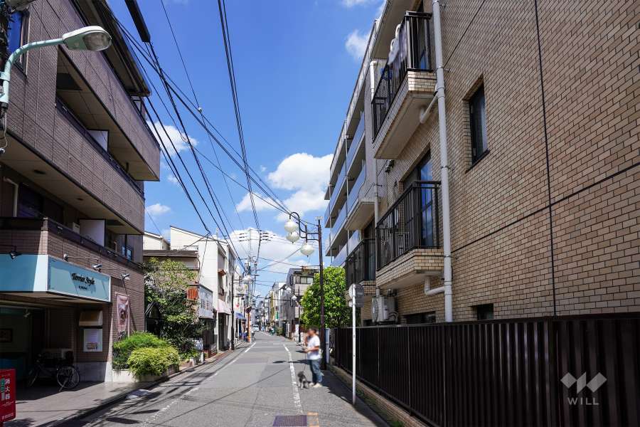 敷地西側の前面道路（南側から）