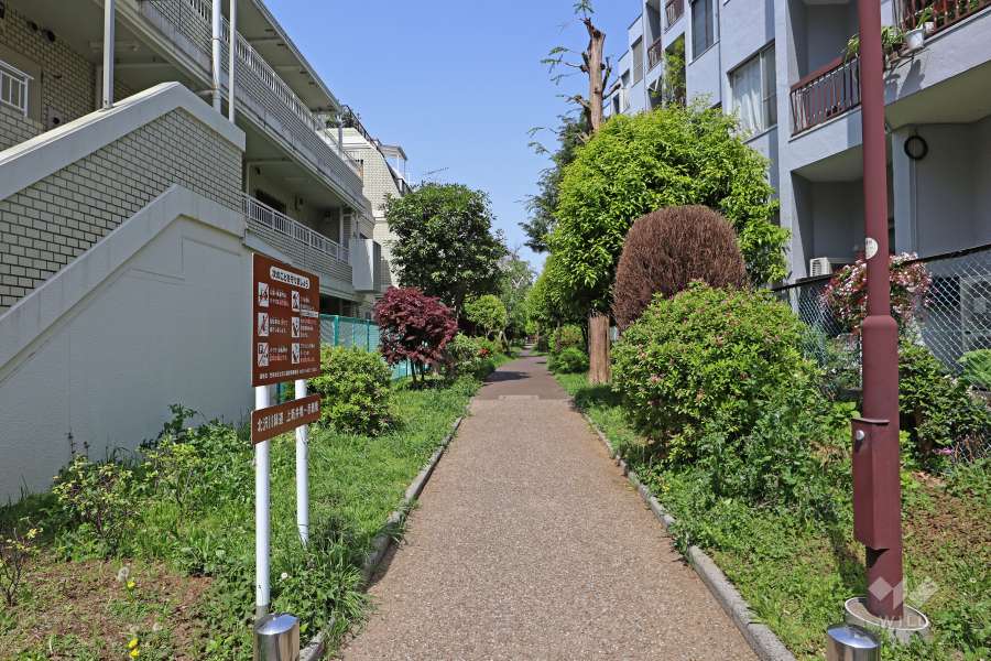 遊歩道