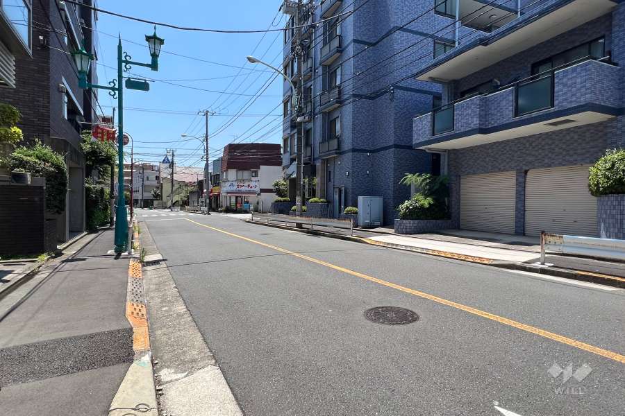 敷地の東側前面道路(北側から)