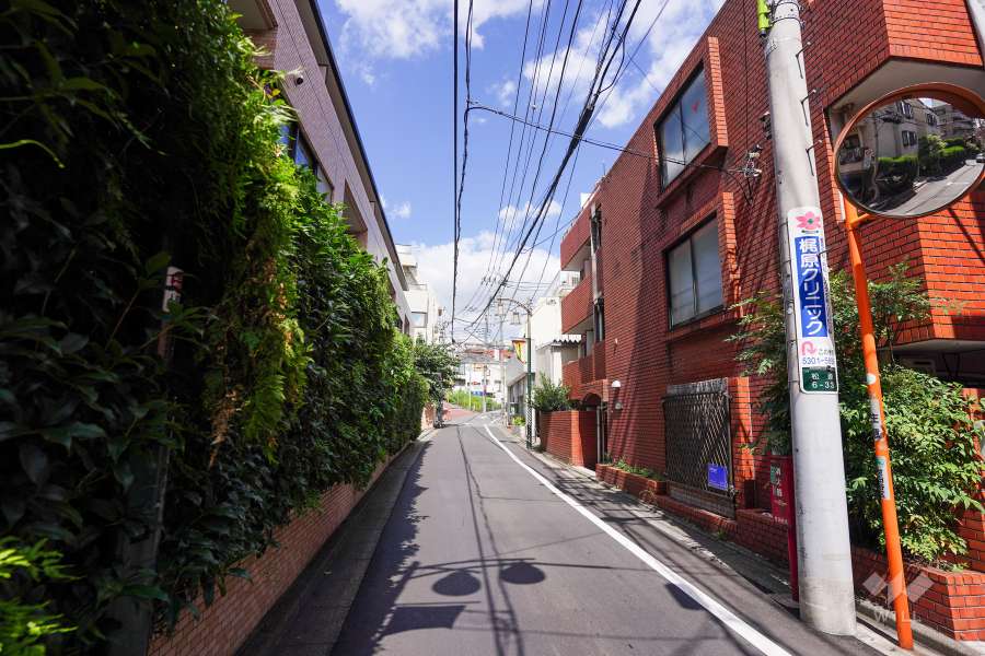 敷地東側の前面道路（南側から）