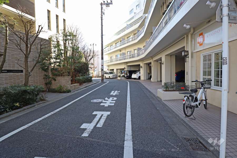 敷地東側の前面道路（北側から）