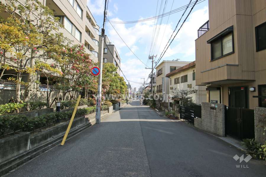 敷地南側の前面道路