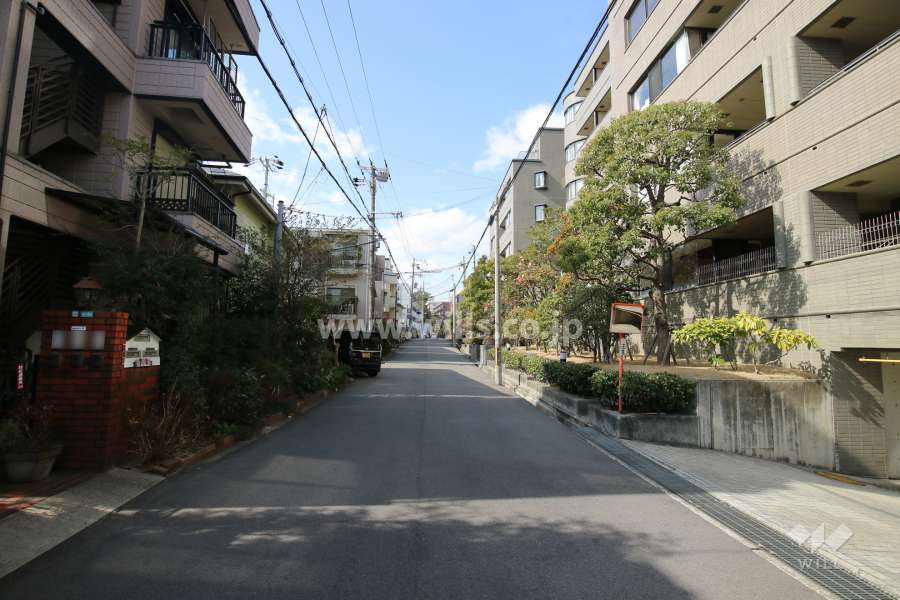 敷地南側の前面道路