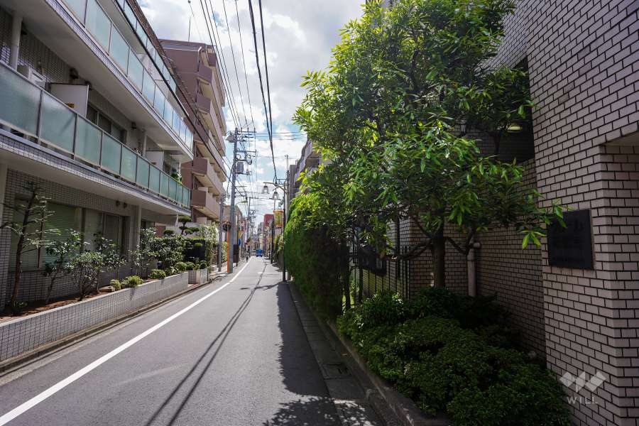 敷地東側の前面道路（北側から）