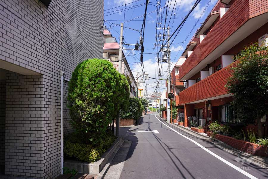 敷地東側の前面道路（南側から）