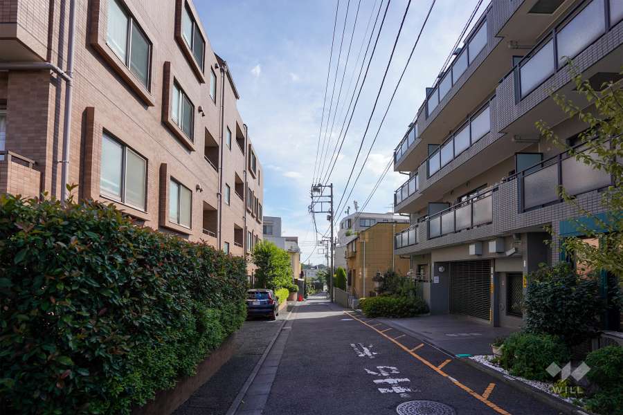 敷地西側の前面道路（北側から）