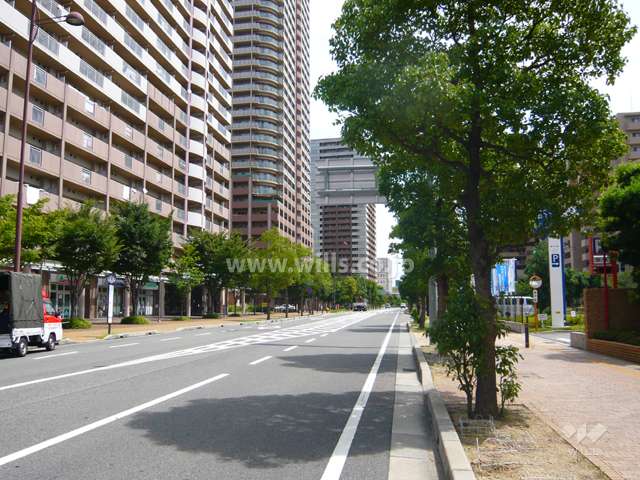 敷地北側の前面道路（東側から）