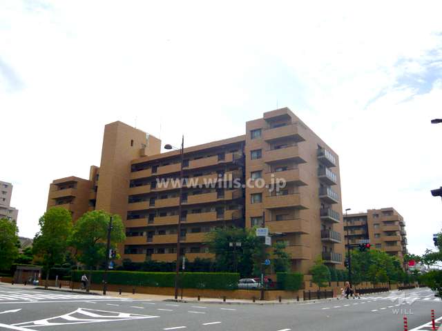 敷地北側の前面道路。街路樹のきれいな通りです。