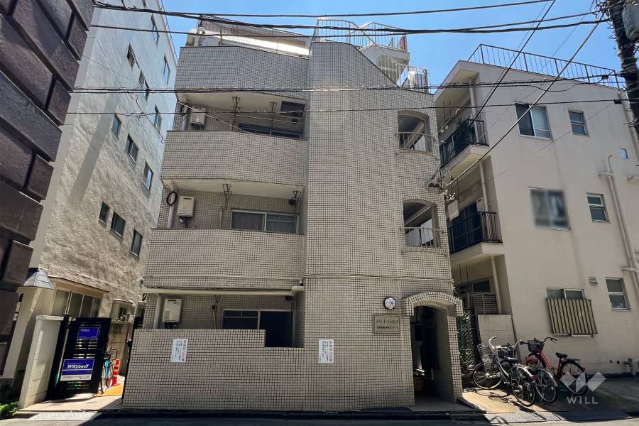 メゾン・ド・ジャセントの外観(南側から)