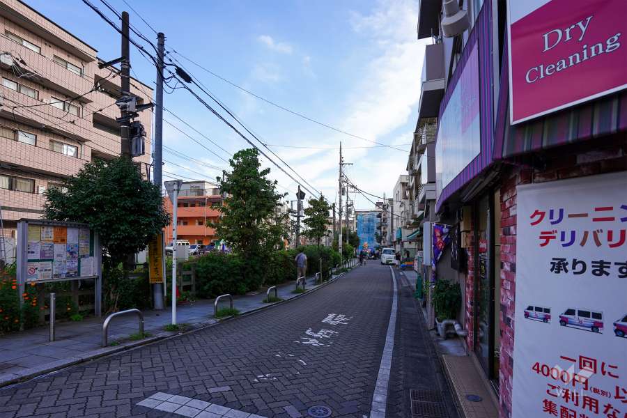 敷地東側の前面道路（北側から）