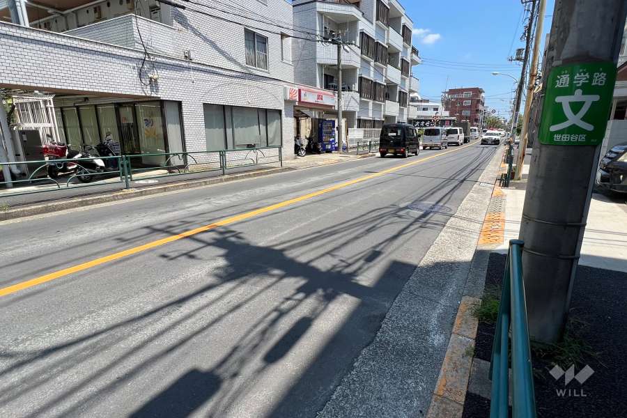 敷地南側の前面道路(南西側から)