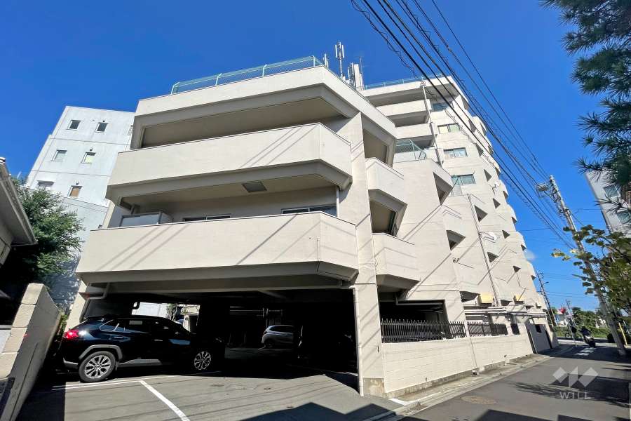 千歳スカイマンションの外観(西側から)