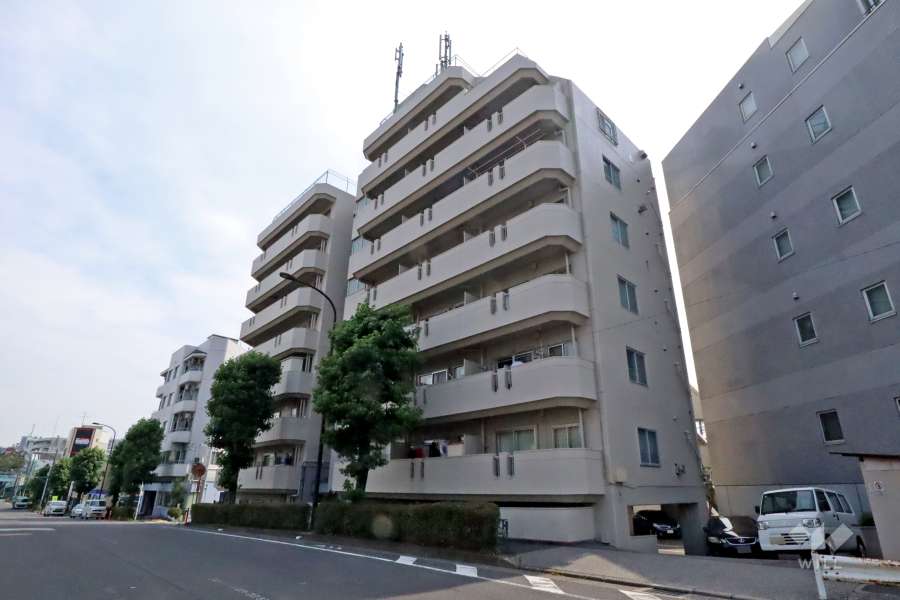 千歳スカイマンションの外観(北東側から)