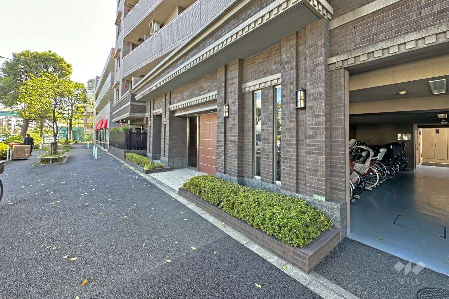 敷地東側の前面道路（北側から）