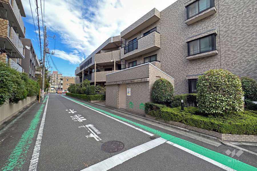 敷地の北側前面道路（西側から）