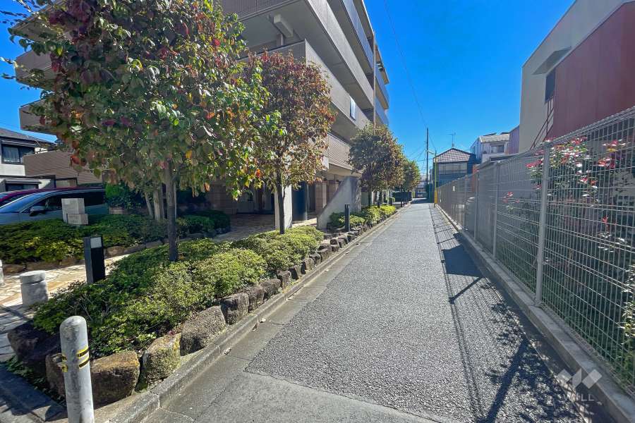 敷地西側の前面道路（北側から）