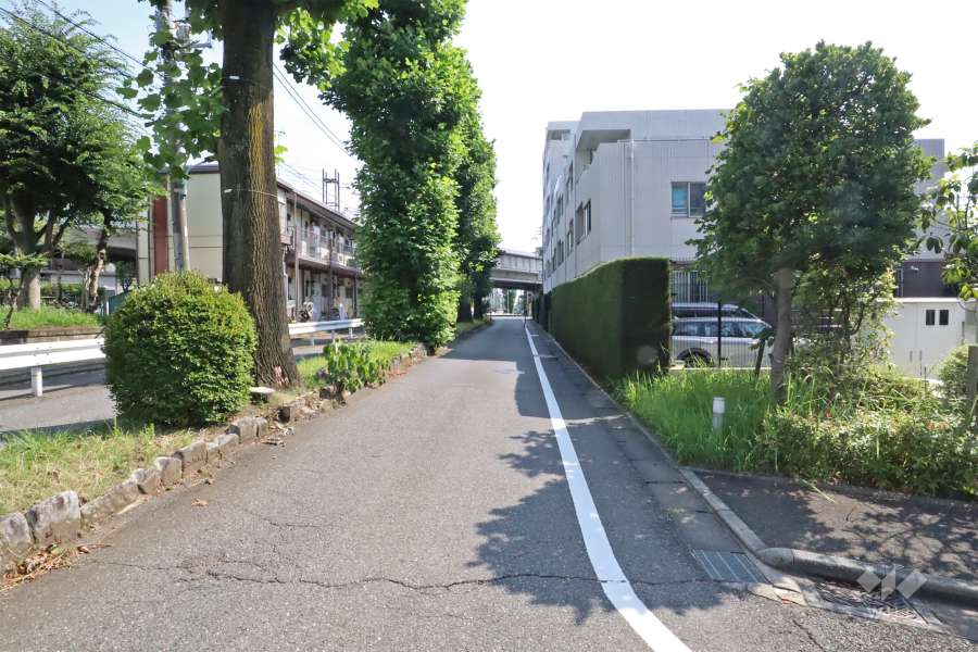 敷地南東側の前面道路は荒玉水道道路です(北東側から)。