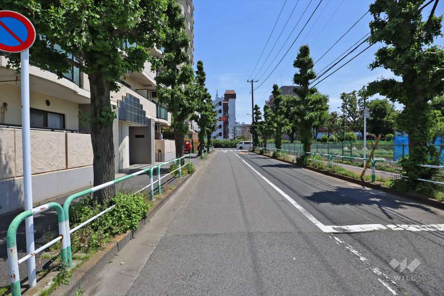 敷地南側の前面道路（東側から）