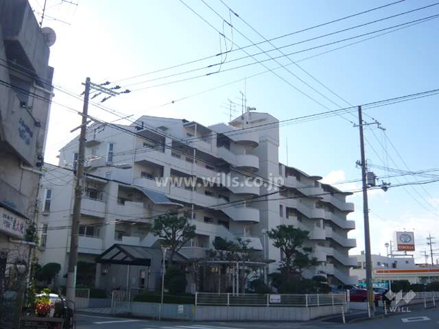 外観（北から）