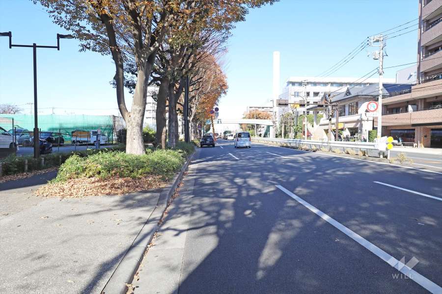 敷地東側の前面道路