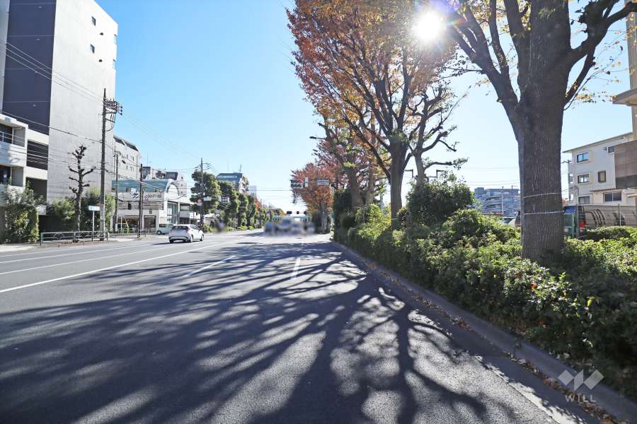敷地東側の前面道路　