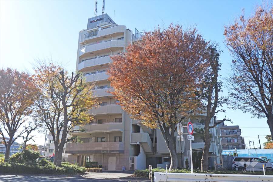 外観(北東側から)