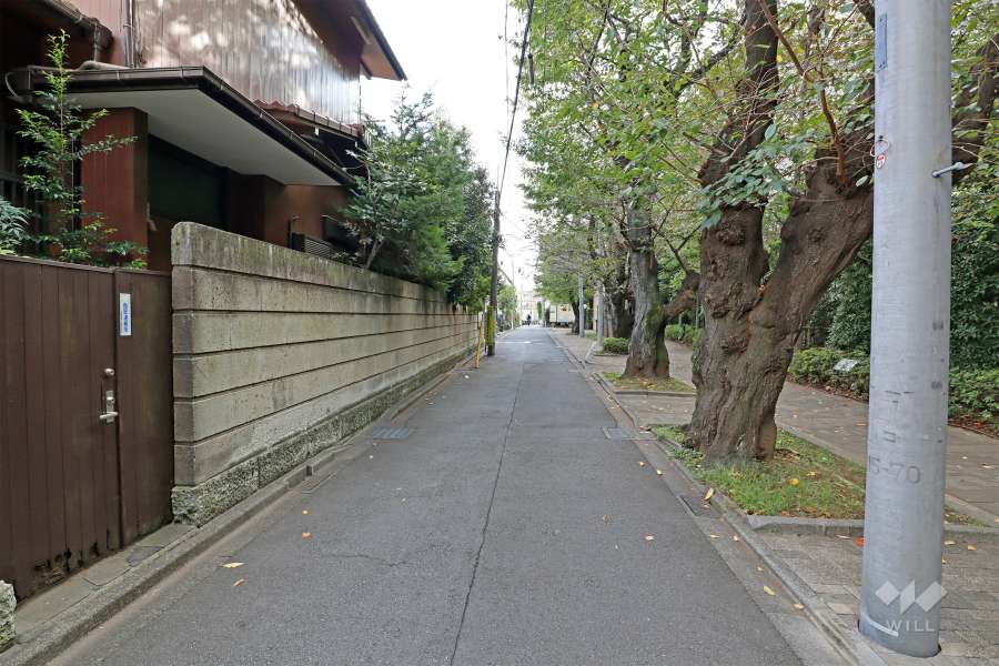 敷地の東側前面道路（北側から）