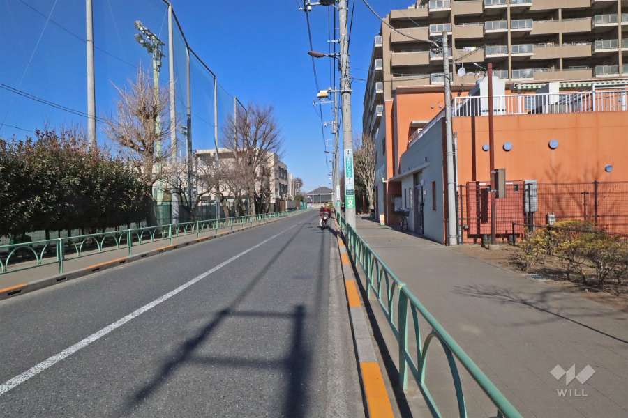 敷地西側の前面道路(南側から)