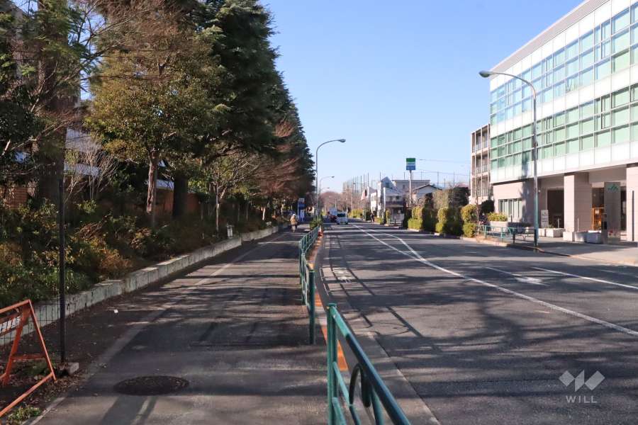 敷地北側の前面道路(東側から)