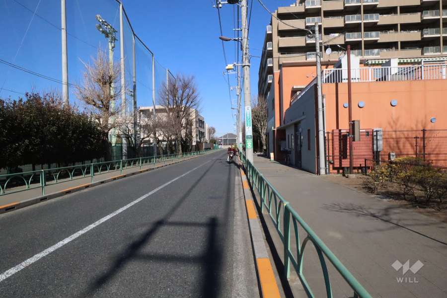 敷地西側の前面道路(南側から)