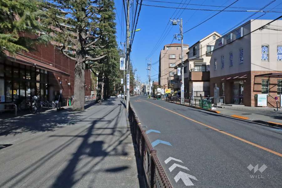 敷地東側の前面道路は千歳通りです(南側から)。